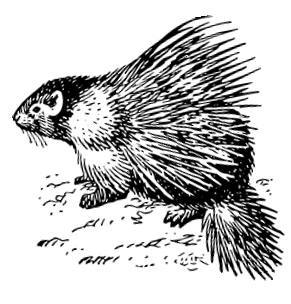 Белый клык (сборник). С комментариями для школьников - i_043.jpg