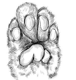 Белый клык (сборник). С комментариями для школьников - i_044.jpg