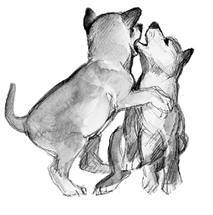 Белый клык (сборник). С комментариями для школьников - i_045.jpg