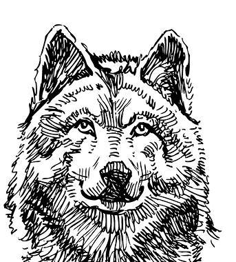 Белый клык (сборник). С комментариями для школьников - i_048.jpg