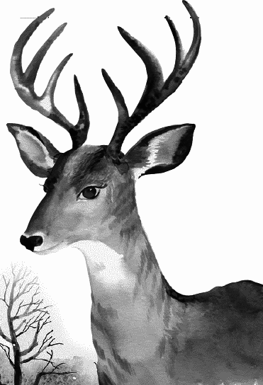 Любовь к жизни. С вопросами и ответами для почемучек - _005.png