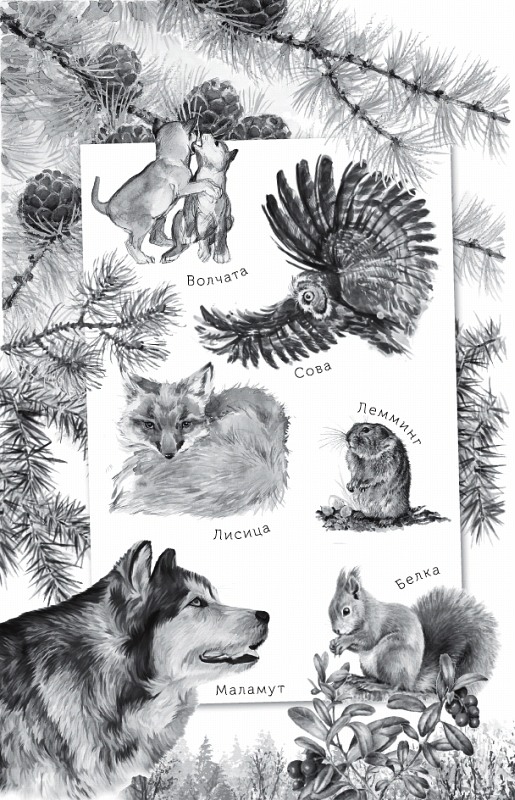 Любовь к жизни. С вопросами и ответами для почемучек - _002.png