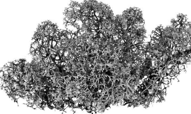 Любовь к жизни. С вопросами и ответами для почемучек - _007.png