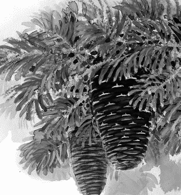 Любовь к жизни. С вопросами и ответами для почемучек - _009.png