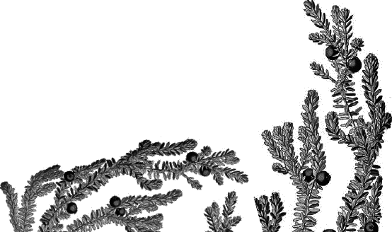 Любовь к жизни. С вопросами и ответами для почемучек - _011.png