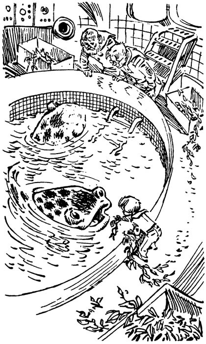 Приключения Алисы. Том 1. Путешествие Алисы - p12.jpg