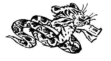 Приключения Алисы. Том 2. Сто лет тому вперед - pic_25.png