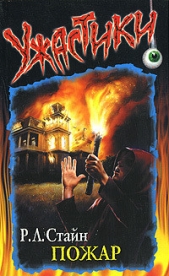 Пожар - автор Стайн Роберт Лоуренс 