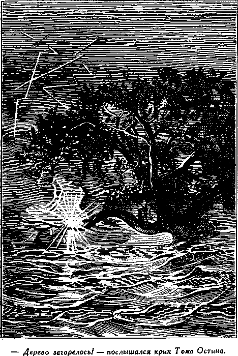 Дети капитана Гранта - i_024.png