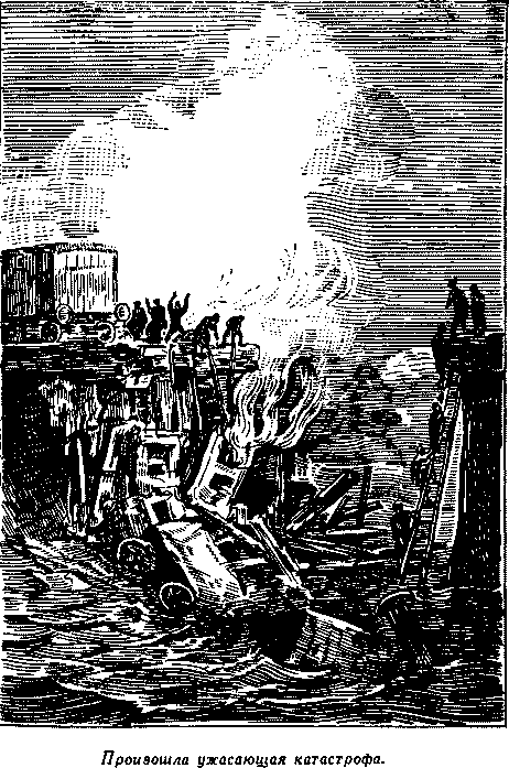 Дети капитана Гранта - i_037.png