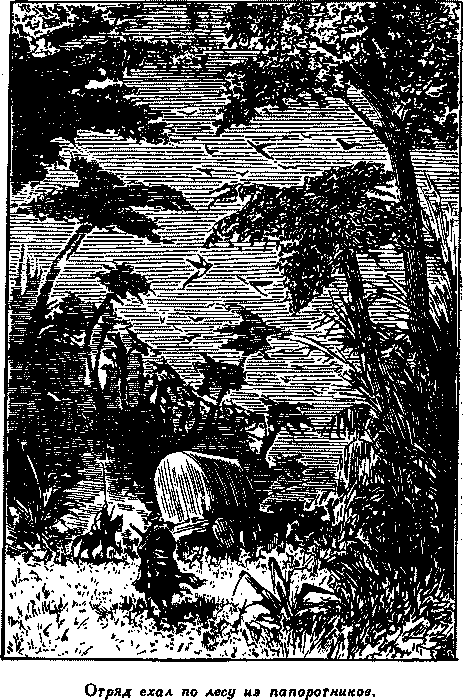 Дети капитана Гранта - i_044.png