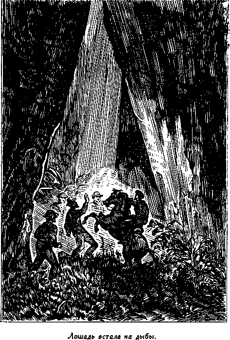 Дети капитана Гранта - i_046.png