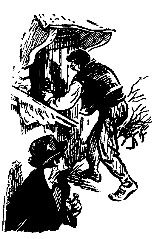 Дунайский лоцман. Необыкновенные приключения экспедиции Барсака - pic_10.png