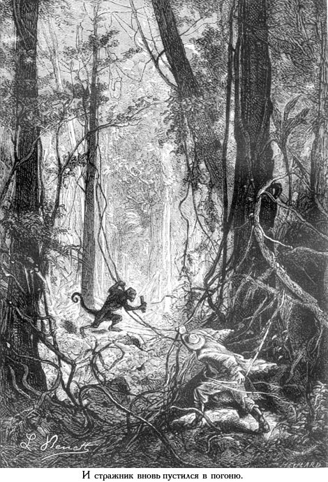 Жангада (иллюстр.) - _005.jpg