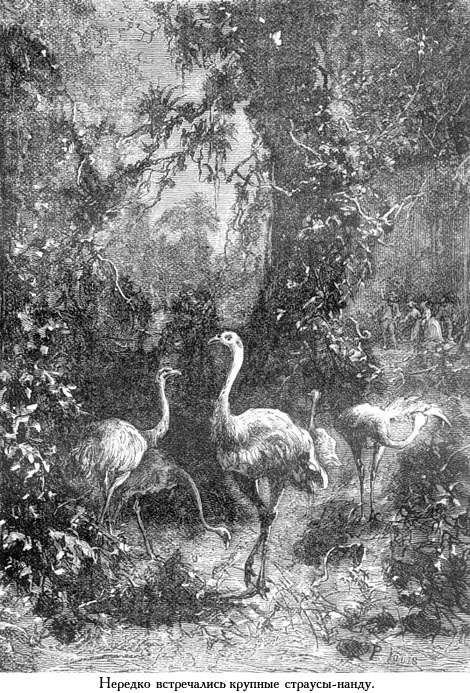 Жангада (иллюстр.) - _017.jpg