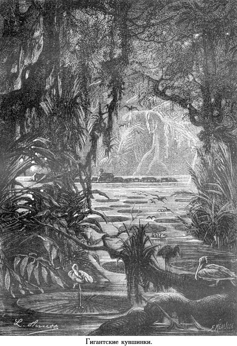 Жангада (иллюстр.) - _045.jpg