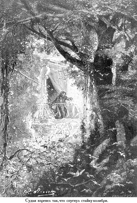 Жангада (иллюстр.) - _077.jpg