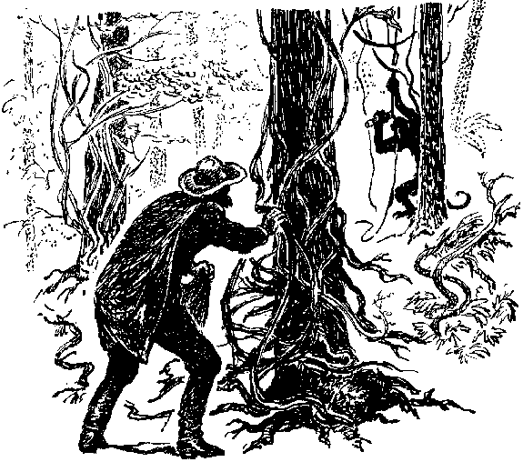 Жангада. Кораблекрушение 