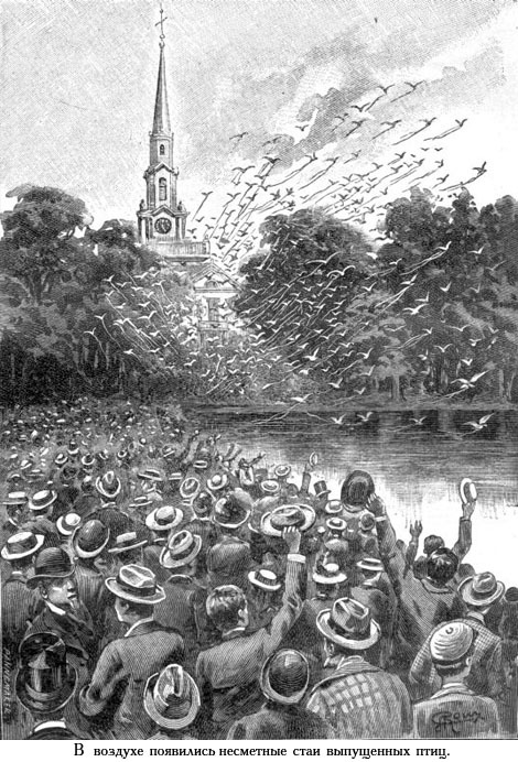 Завещание чудака (иллюстр.) - _011.jpg