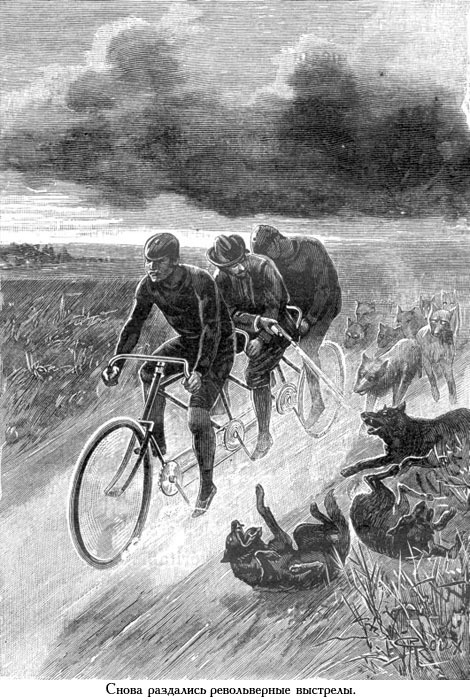 Завещание чудака (иллюстр.) - _088.jpg