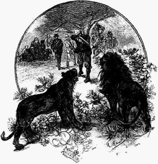 Кловис Дардантор - i_001.png