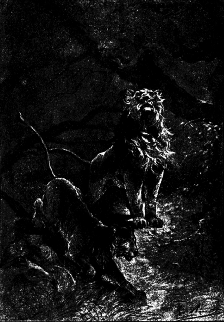 Кловис Дардантор - i_043.png