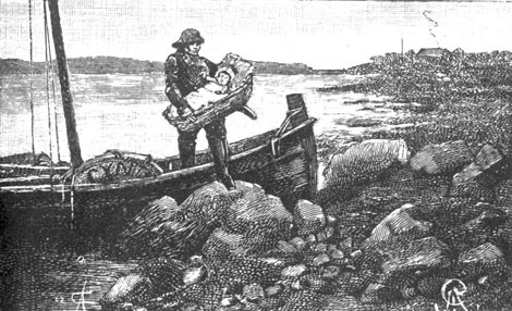 Найденыш с погибшей «Цинтии» - _003.jpg