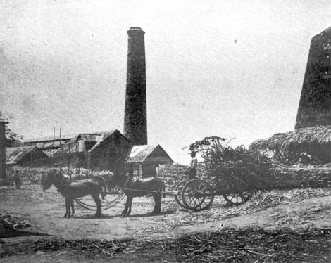 Путешествие стипендиатов (илюстр) - _028.jpg