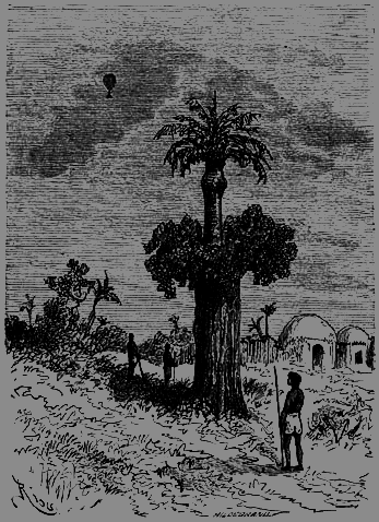 Пять недель на воздушном шаре - p112.png