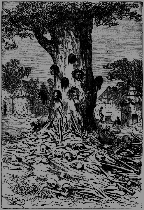 Пять недель на воздушном шаре - p113.png