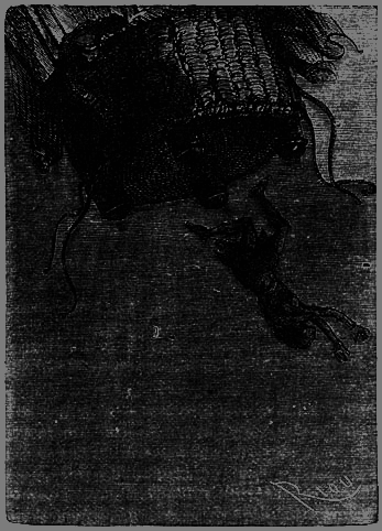 Пять недель на воздушном шаре - p125.png