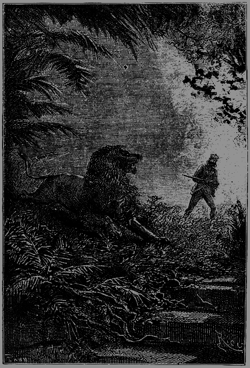 Пять недель на воздушном шаре - p153.png