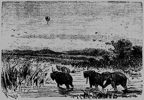 Пять недель на воздушном шаре - p162.png