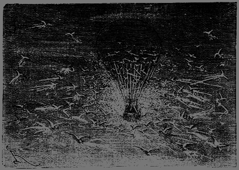 Пять недель на воздушном шаре - p172.png