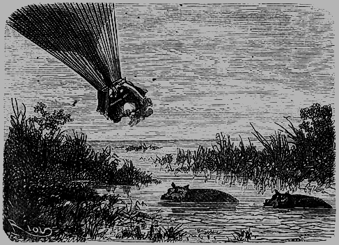 Пять недель на воздушном шаре - p175.png