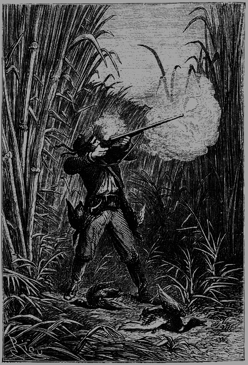 Пять недель на воздушном шаре - p185.png