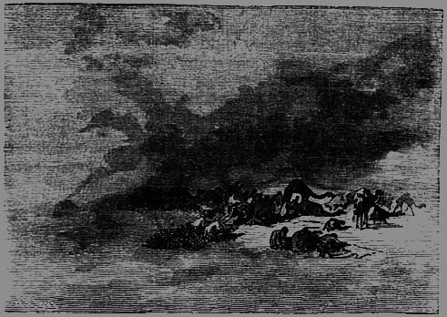 Пять недель на воздушном шаре - p189.png