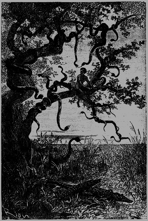 Пять недель на воздушном шаре - p197.png