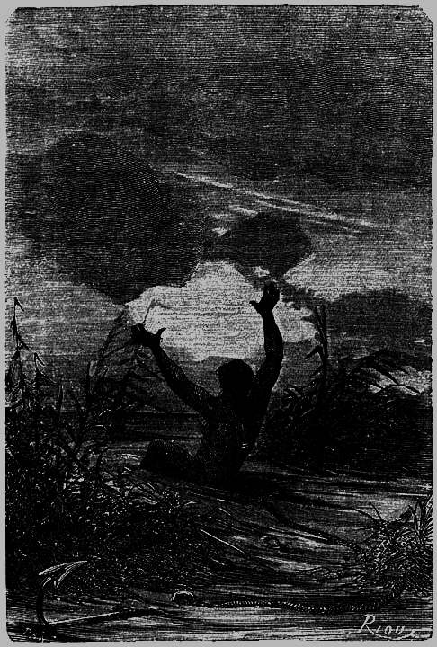 Пять недель на воздушном шаре - p201.png