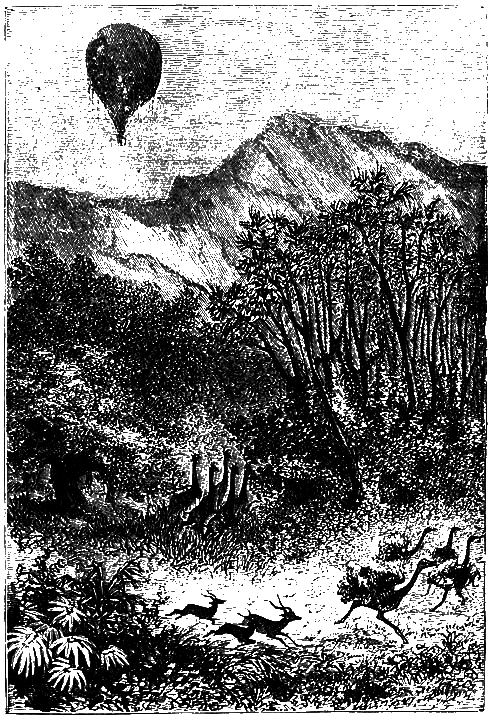 Пять недель на воздушном шаре - p209.png