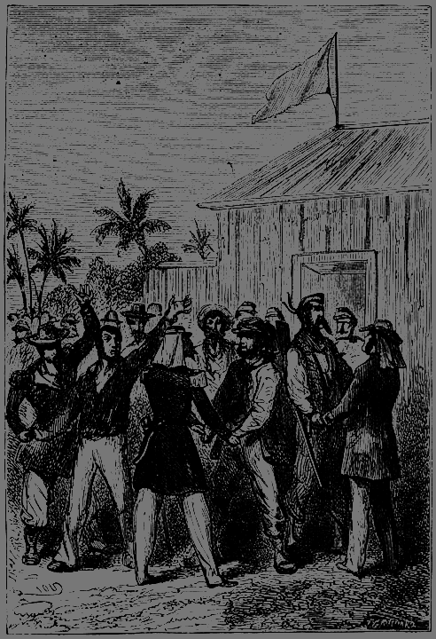 Пять недель на воздушном шаре - p241.png