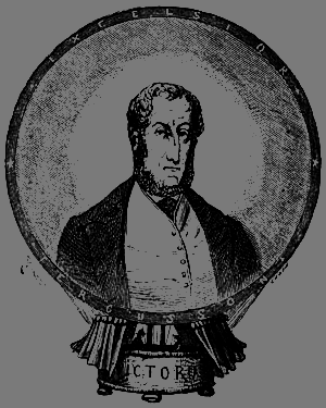 Пять недель на воздушном шаре - p242.png