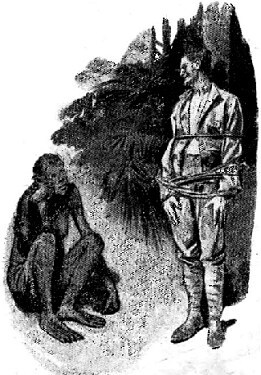 Ступени великой лестницы (сборник) - i_002.jpg