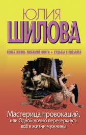 Мастерица провокаций, или Одной ночью перечеркнуть все в жизни мужчины - автор Шилова Юлия 