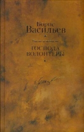 Были и небыли. Книга 1. Господа волонтеры - автор Васильев Борис 