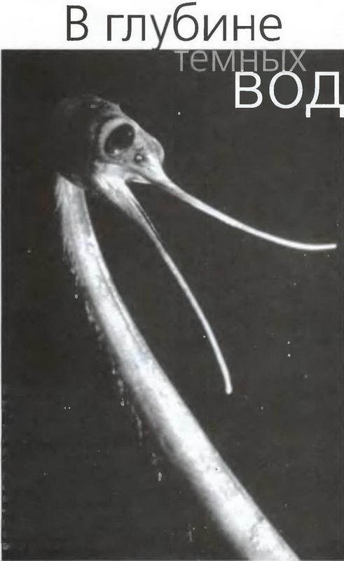 Знание-сила, 2005 № 05 (935) - _36.jpg