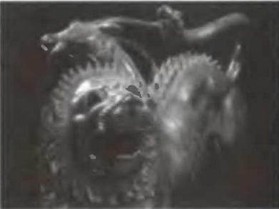 Знание-сила, 2005 № 05 (935) - _65.jpg