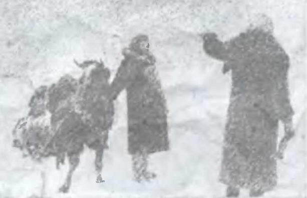 Знание-сила, 2005 № 05 (935) - _3.jpg