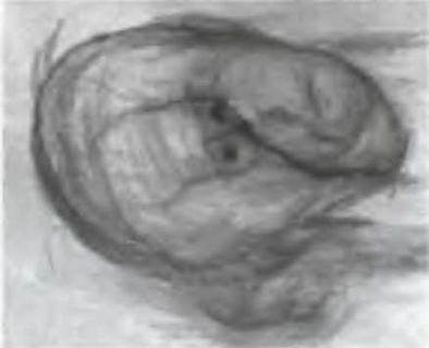 Знание-сила, 2005 № 05 (935) - _55.jpg