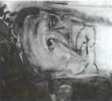 Знание-сила, 2005 № 05 (935) - _56.jpg